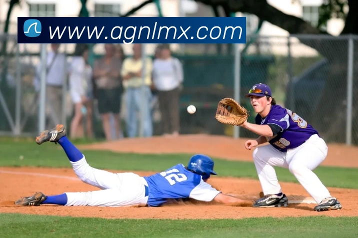 ag百家乐平台生态图